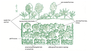 rectangular forest garden