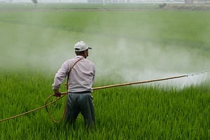 pesticides
