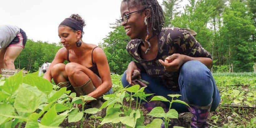SoulFireFarmworkers_FarmingWhileBlack Leah Penniman ( left ) and Amani Olugbala ( right ) tend the beans during konbit at Soul Fire Farm