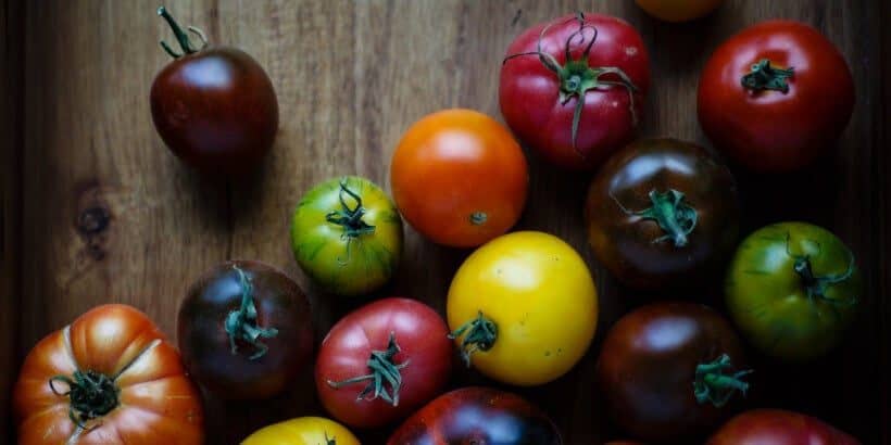 tomato_BS tomato