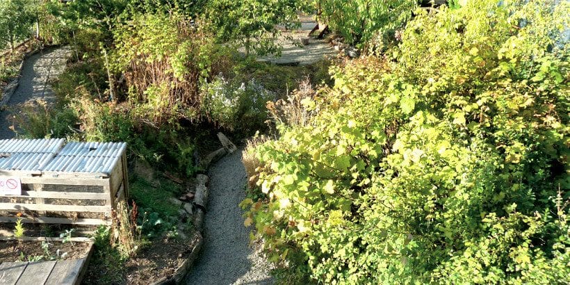 commfoodforest-banner agroforestry - public garden