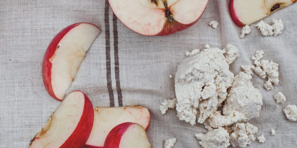 ricotta_banner_artofnaturalcheesemaking_book ricotta