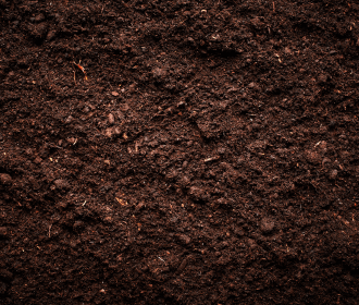 soil