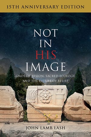 The Not in His Image (15th Anniversary Edition) cover