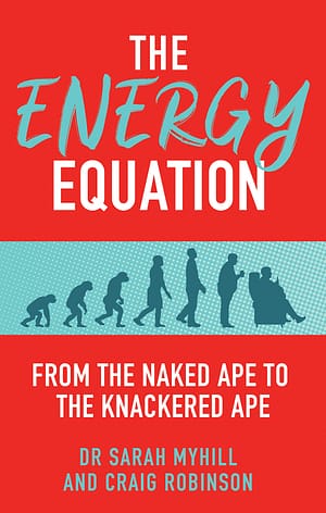 The Energy Equation cover