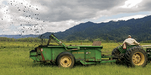 BioChar on the Farm