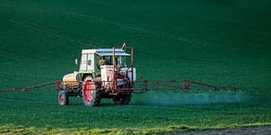 glyphosate