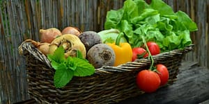 basket of vegetables