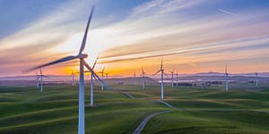 windmills in a field