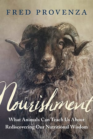 The Nourishment cover