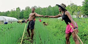 Two farmers fist bump