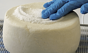 Dry Salting blue cheese