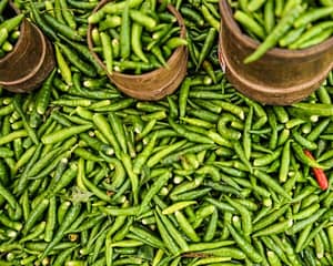 dilly beans