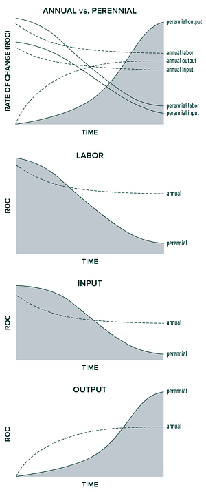 Annuals VS Perennials