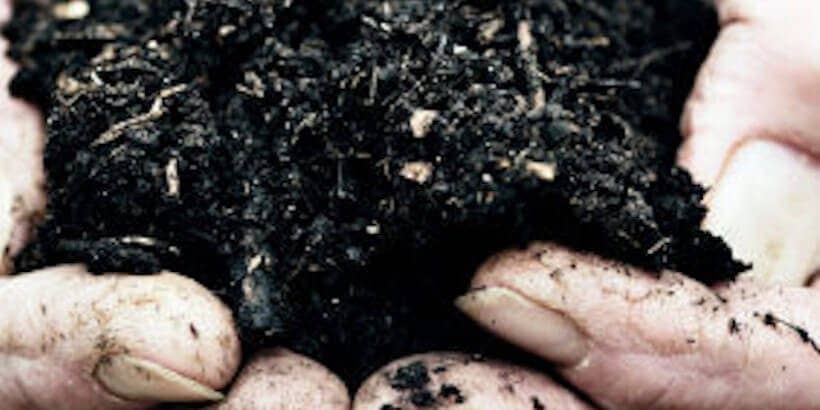 blog feature image_Compost Compost