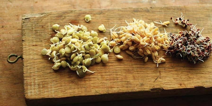 chickpeas_wildflavors_book