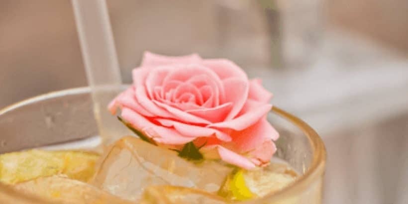 full-moon-feast_hibiscus-rose-soda_bannersnack-panorama
