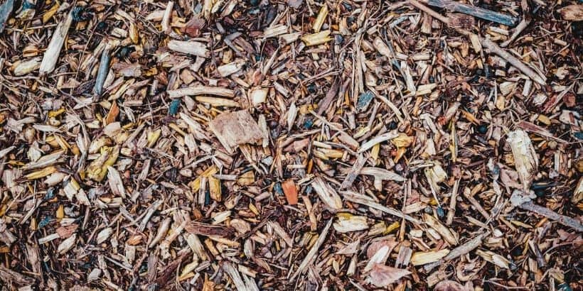 woodchip_bannersnack