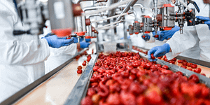 manufactured food