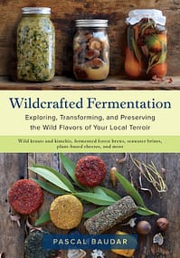 The Wildcrafted Fermentation cover