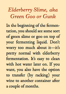 elderberry slime