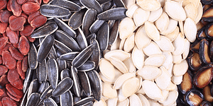 keeping seeds organized