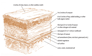 sheet mulch diagram