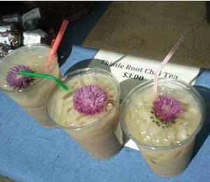 summer drinks, thistle chai tea