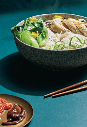 chicken noodle soup
