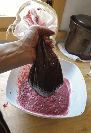 elderberry juice