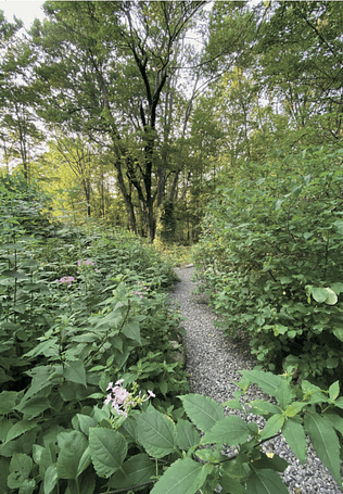 planting site