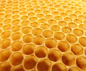 honeycomb