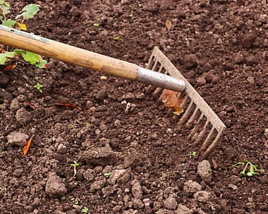 Raking dirt