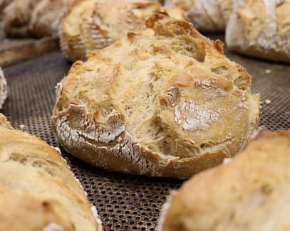 sourdough