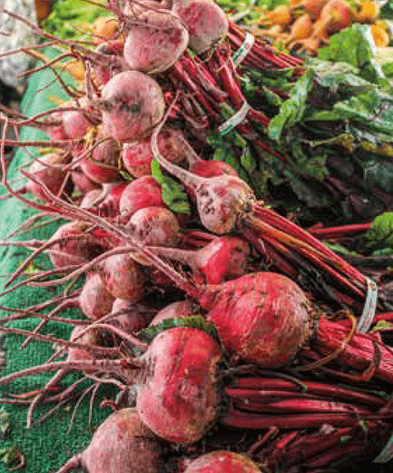 Beets for healthy bones