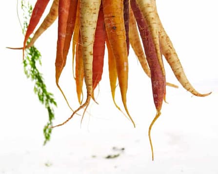 roasted root veggies