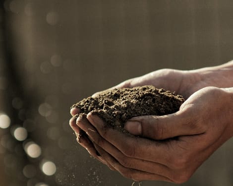 dirt in hands
