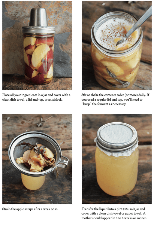 raw fermentation