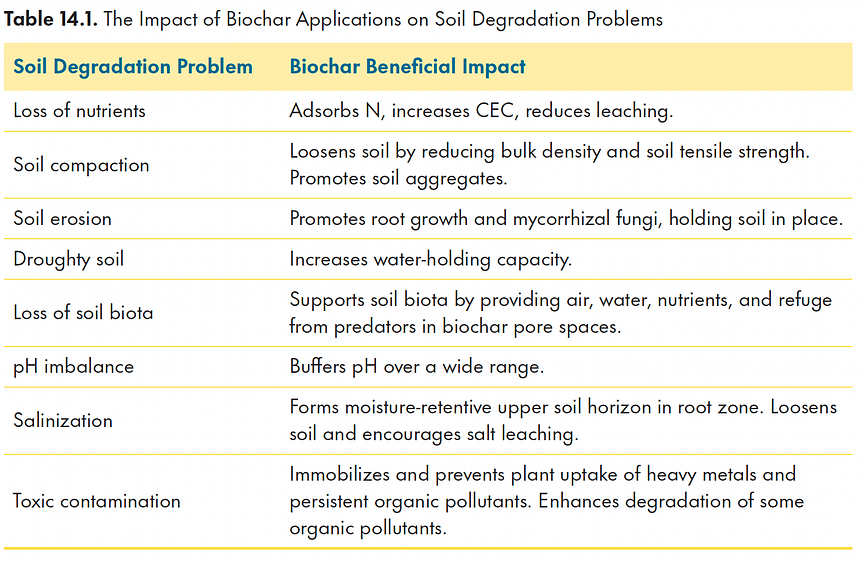 The Impact of Biochar Applications on Soil Degradation Problems