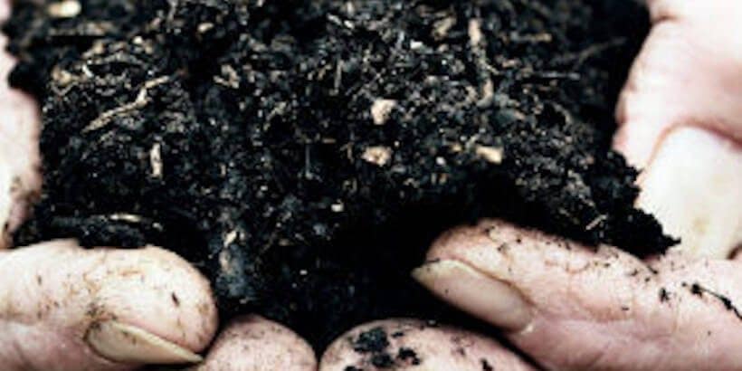 blog feature image_Compost Compost
