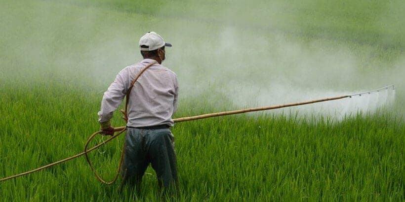 bs-pesticide-banner spraying pesticides