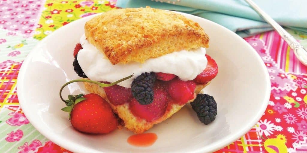 shortcake_bannersnack wild strawberries