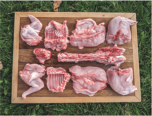 butchered rabbit