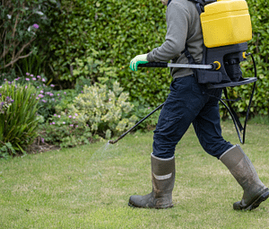 dealing with weeds