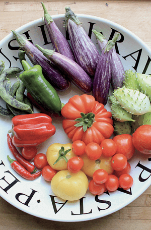 veggies from container gardening