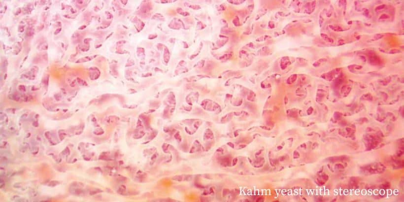 FAM_bubblingfermentation_banner