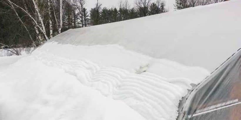 snowoncar_banner_greenhousehoophouse_book snow