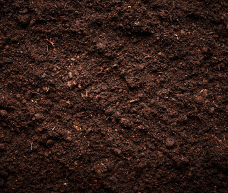 soil