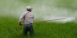 spraying pesticides