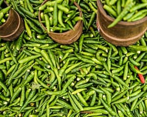 dilly beans